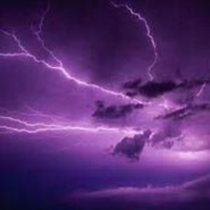 Meet your Posher, Lorri